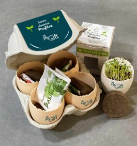 Un kit de plantation complet original et écologique créé à partir d'une boite d'oeuf