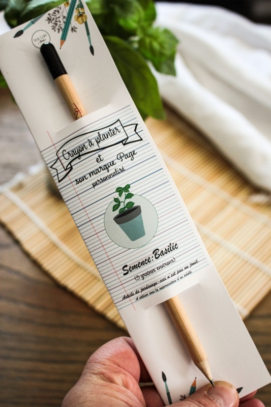 Goodies crayon écologique à planter pour récolter du basilic et marque page personnalisé d'entreprise