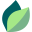 Eco